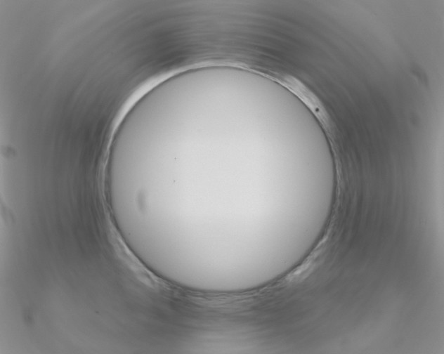 X0000090961052200708021118