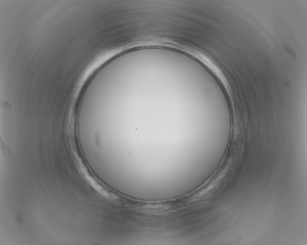 X0000090961053200708021118