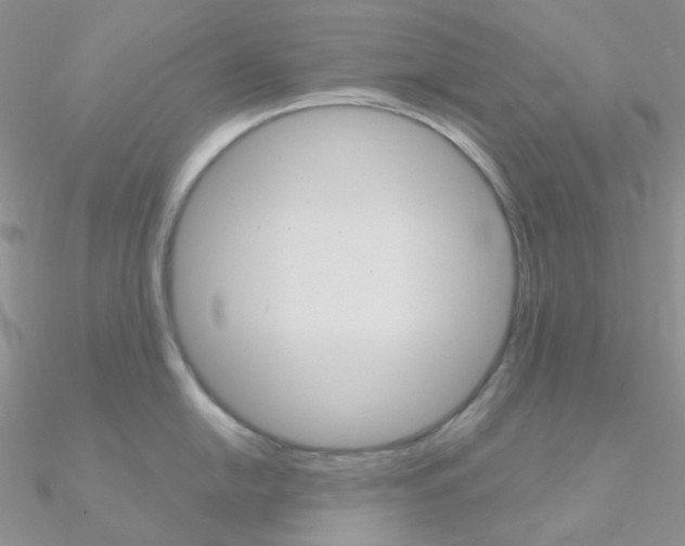 X0000090961054200708021118