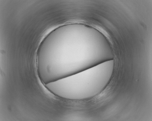 X0000090961055200708021118