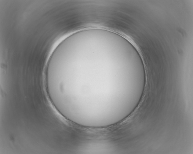 X0000090961056200708021118
