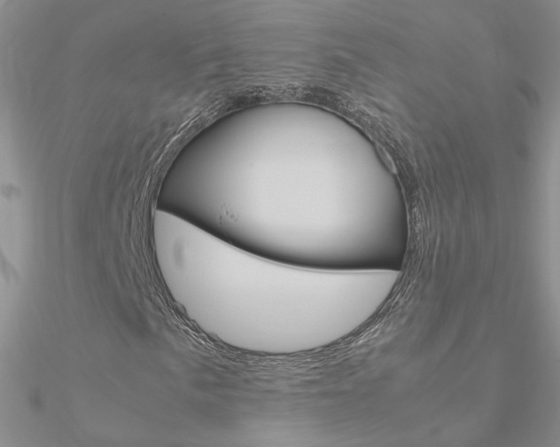X0000090961057200708021117