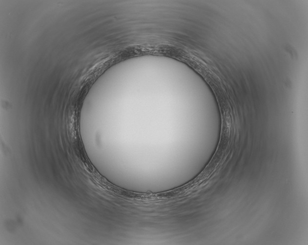 X0000090961060200708021117