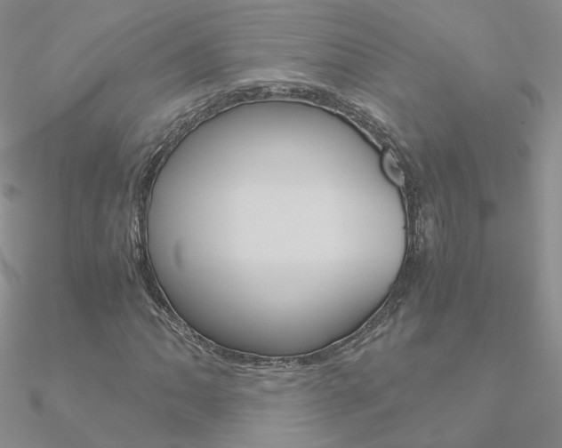 X0000090961062200708021117