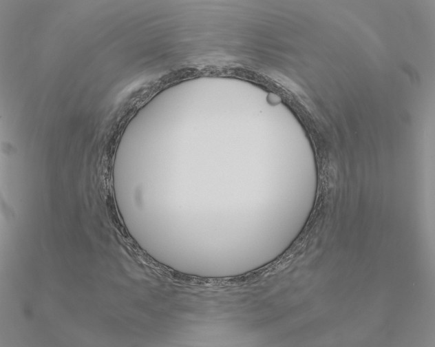 X0000090961063200708021117