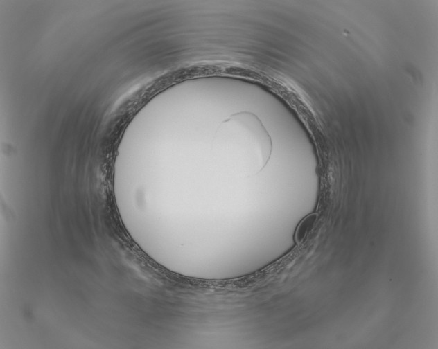 X0000090961064200708021117