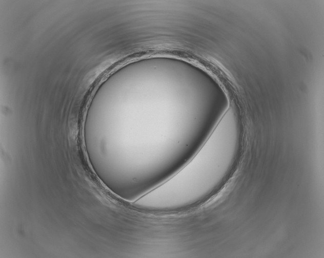 X0000090961065200708021117