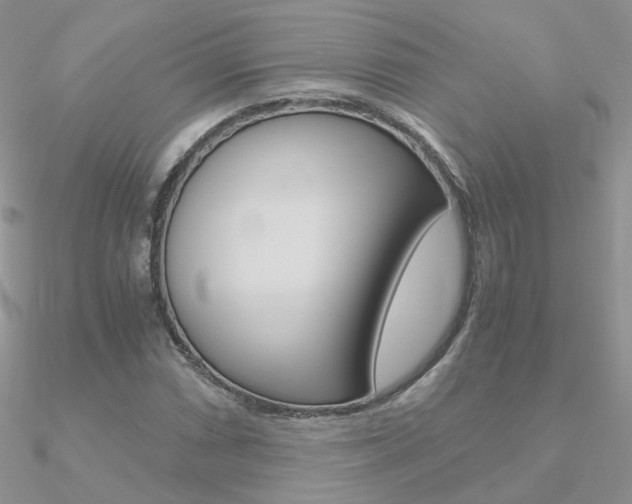 X0000090961066200708021117