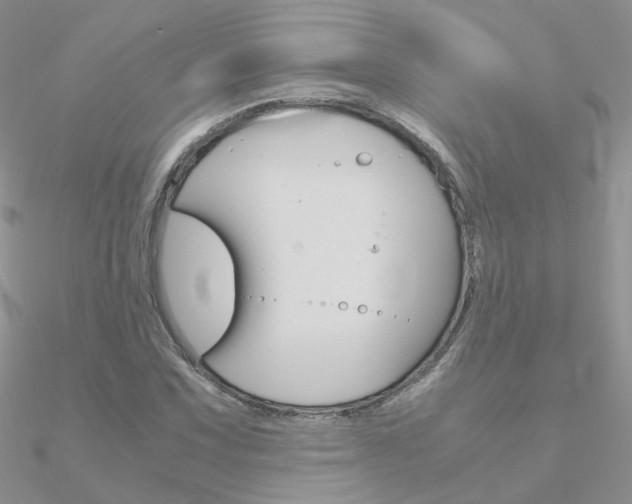 X0000090961067200708021117