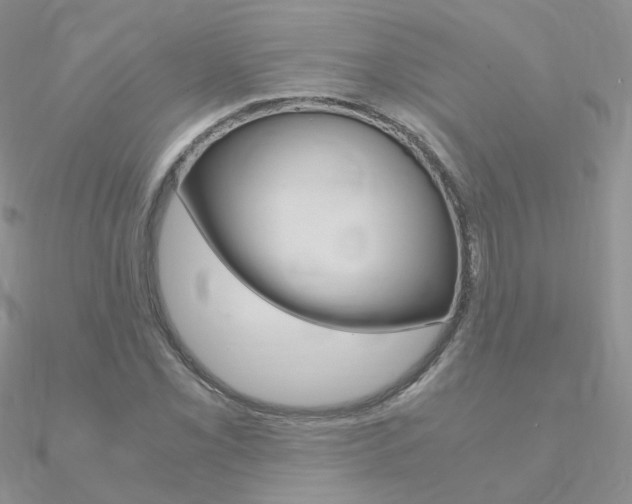 X0000090961069200708021117