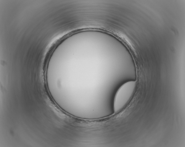 X0000090961072200708021117