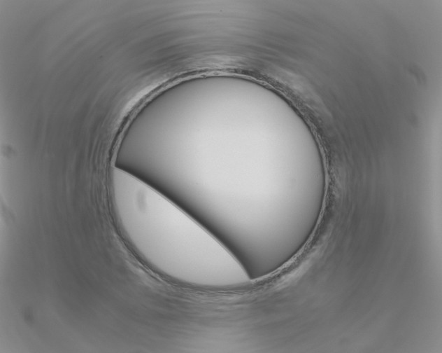 X0000090961073200708021117