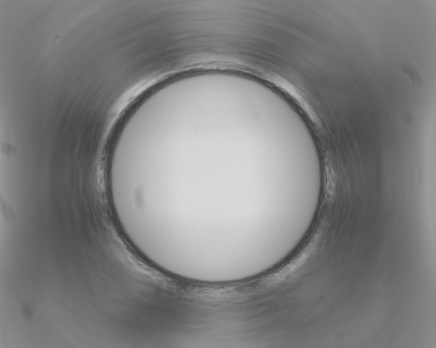 X0000090961074200708021117