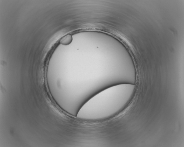 X0000090961075200708021117