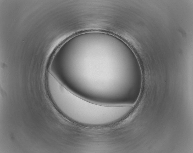 X0000090961077200708021117