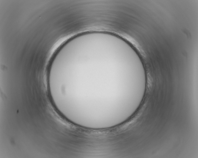 X0000090961078200708021117