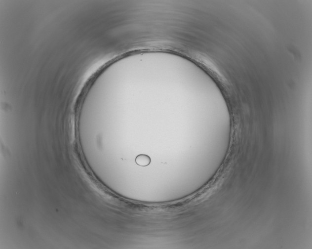 X0000090961079200708021117
