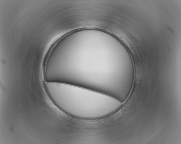 X0000090961080200708021117