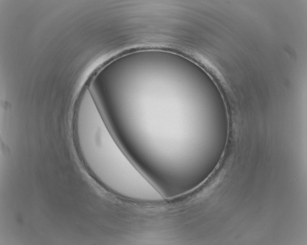 X0000090961085200708021117