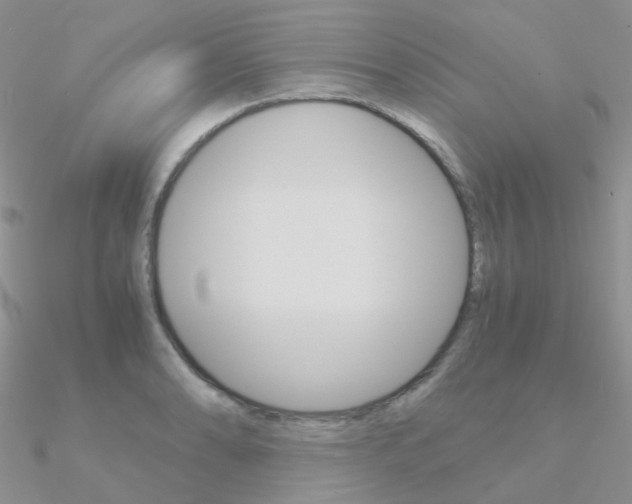 X0000090961086200708021117