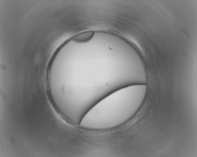 X0000090961087200708021117