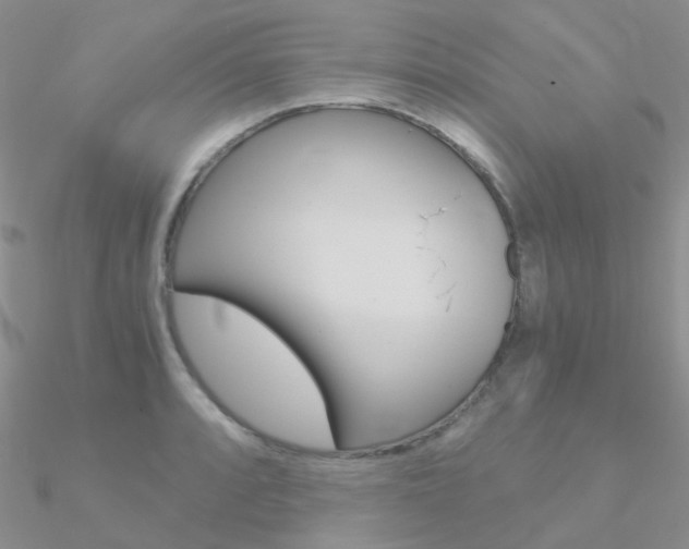 X0000090961088200708021117