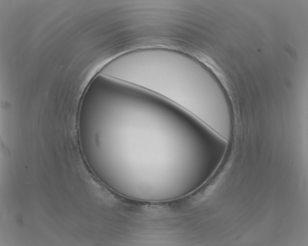 X0000090961089200708021117