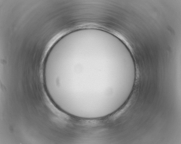 X0000090961090200708021117