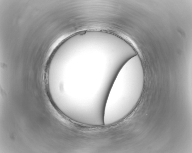 X0000090961091200708021117