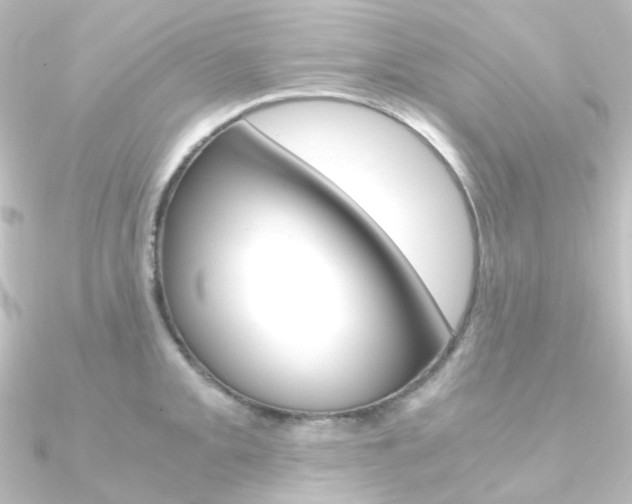 X0000090961093200708021117