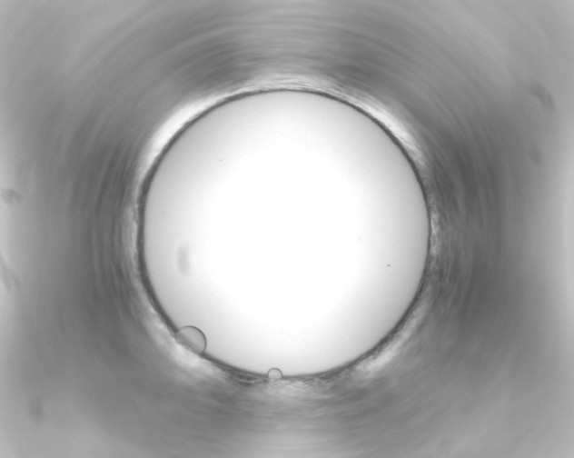 X0000090961094200708021116