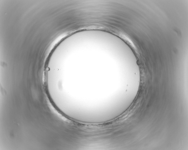 X0000090961095200708021116