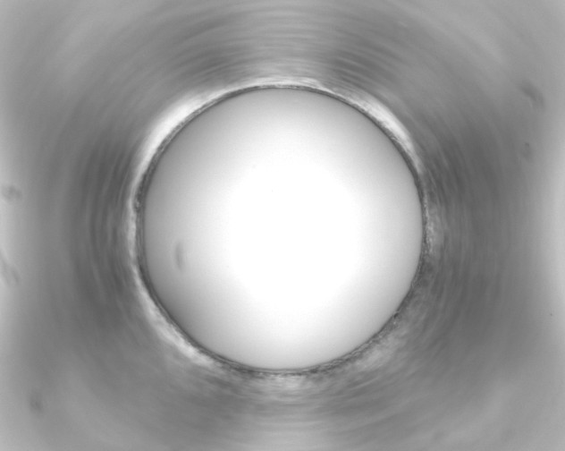 X0000090961096200708021116