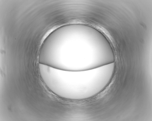 X0000090961097200708021116