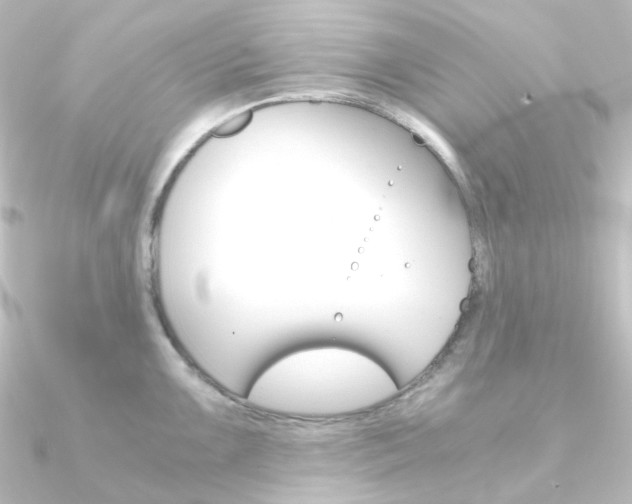 X0000090961099200708021116
