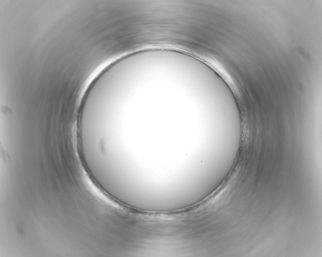 X0000090961100200708021116