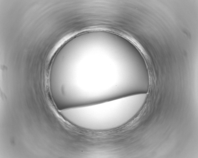 X0000090961101200708021116