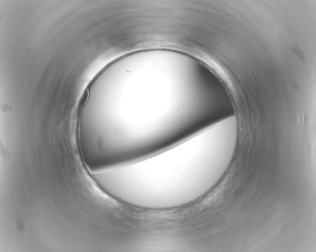 X0000090961102200708021116