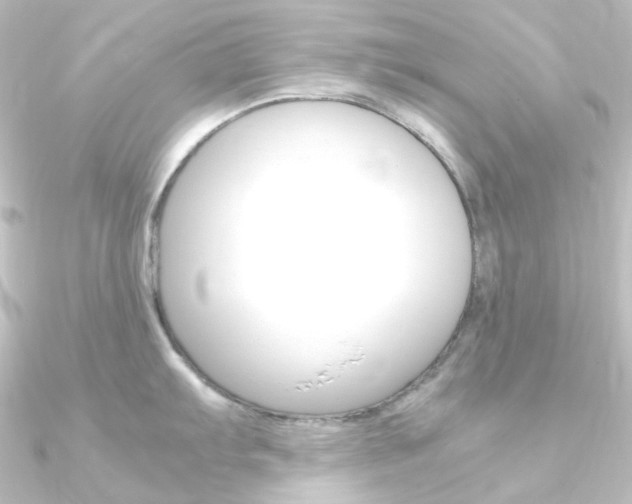 X0000090961103200708021116