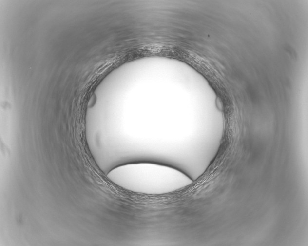 X0000090961105200708021116