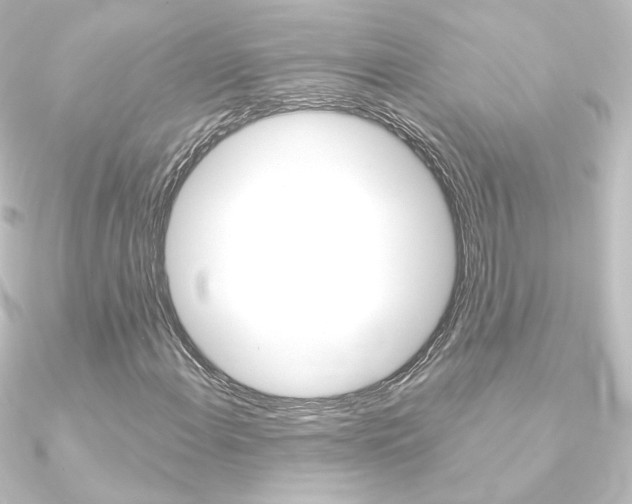 X0000090961108200708021116