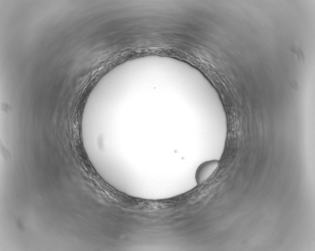 X0000090961109200708021116