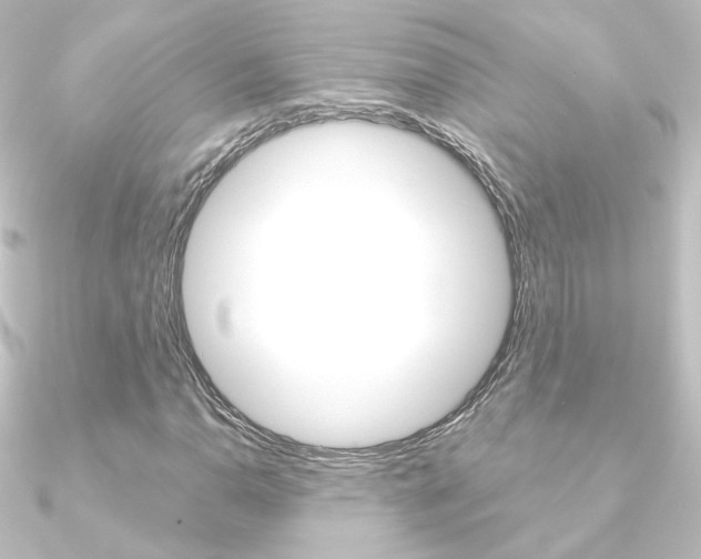 X0000090961110200708021116