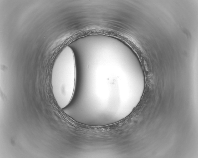 X0000090961111200708021116