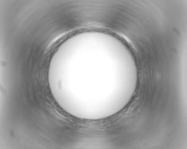 X0000090961112200708021116
