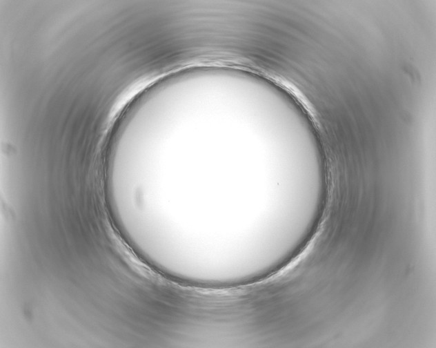 X0000090961114200708021116