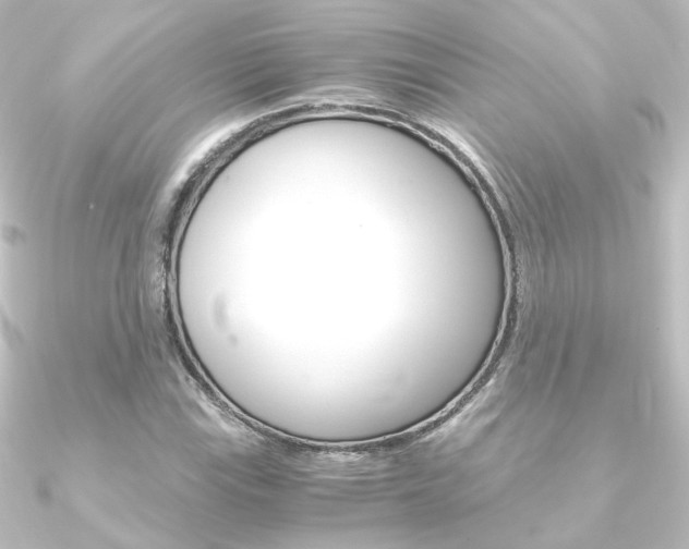 X0000090961115200708021116