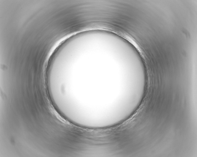 X0000090961116200708021116