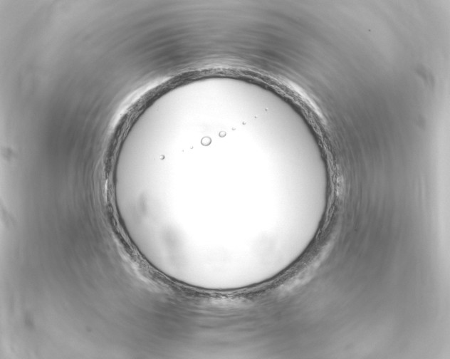 X0000090961117200708021116