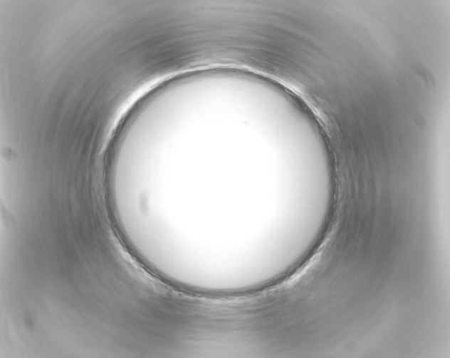 X0000090961118200708021116
